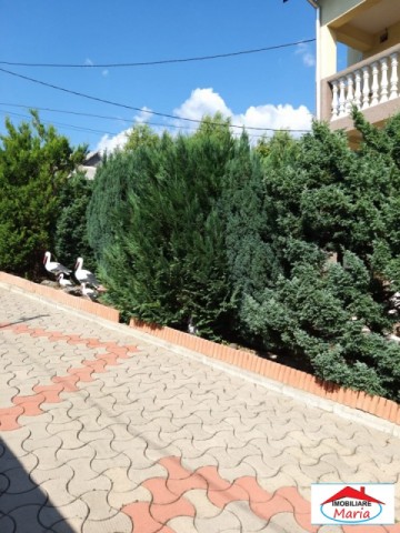 casa-cu-teren-22-ari-in-negresti-oas-id-21588-4