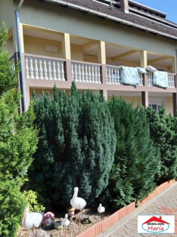 casa-cu-teren-22-ari-in-negresti-oas-id-21588-5