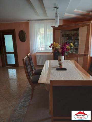 casa-cu-teren-22-ari-in-negresti-oas-id-21588-9