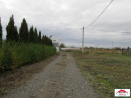 teren-intravilan-zona-dara-kafka-margit-id-21595