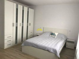 de-inchiriat-casa-insiruita-alba-micesti-4
