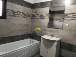 de-inchiriat-casa-insiruita-alba-micesti-6