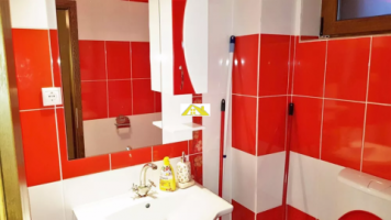 casa-tip-duplex-de-vanzare-lipoveni-6