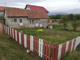 vand-casa-in-limba-1