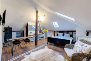 urgent-de-vanzare-2-apartamente-ideale-pentru-regim-hotelier-7