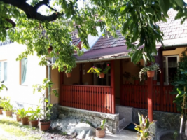 vand-casa-1