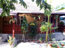vand-casa-2