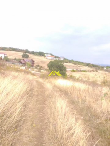 vand-teren-zona-schit-1