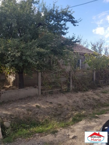 casa-cu-teren-viile-satu-mare-id-21628-7