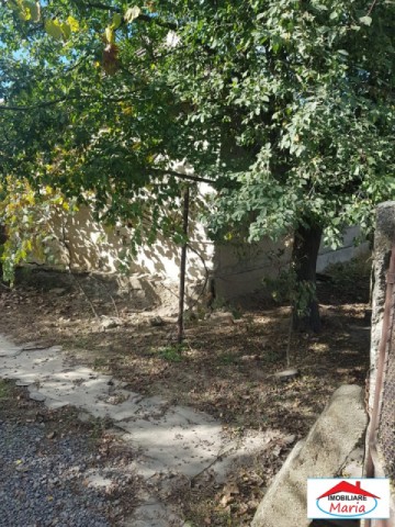 casa-cu-teren-viile-satu-mare-id-21628-8