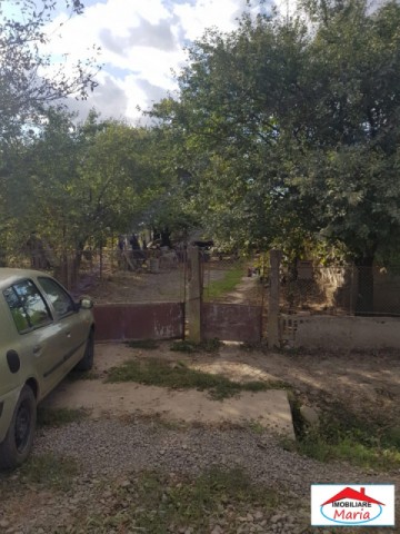 casa-cu-teren-viile-satu-mare-id-21628-9