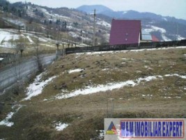 teren-5000-mp-intravilan-rucar-6