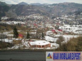 teren-5000-mp-intravilan-rucar-7