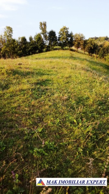 teren-intravilan-9000-mp-de-vanzare-rucar-arges