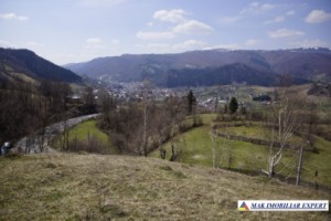 teren-intravilan-9000-mp-de-vanzare-rucar-arges-4
