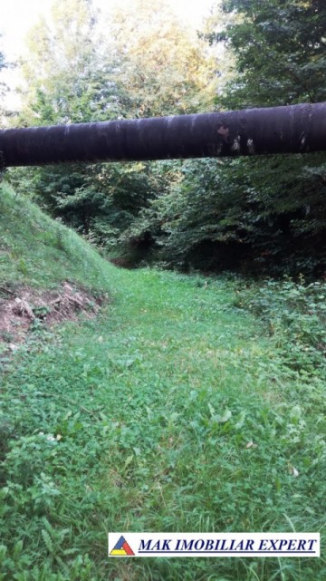 teren-intravilan-9000-mp-de-vanzare-rucar-arges-5