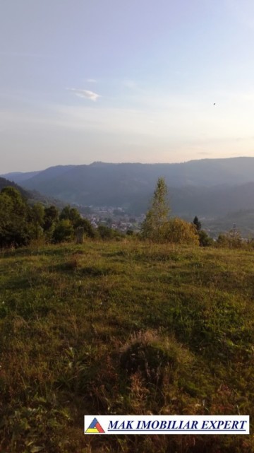 teren-intravilan-9000-mp-de-vanzare-rucar-arges-3
