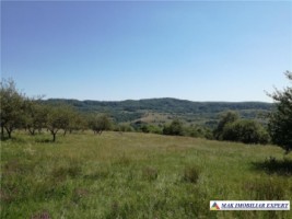 vand-teren-intravilan-283-ha-mihaesti-arges