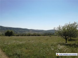 vand-teren-intravilan-283-ha-mihaesti-arges-1