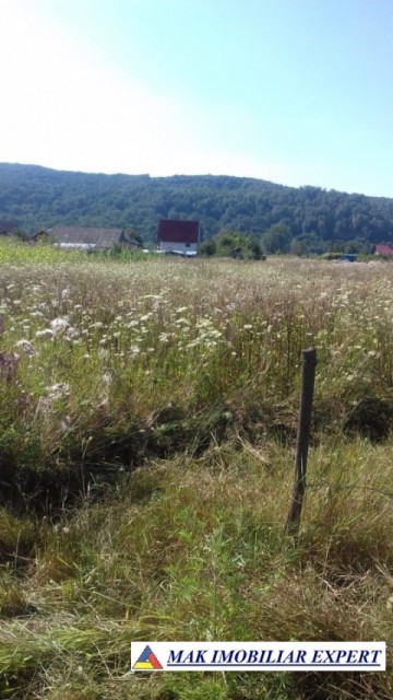 teren-1200-mp-intravilan-titesti-valea-stanii-4