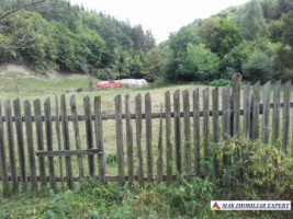 teren-intravilan-de-2000-mp-de-vanzare-in-apa-sarata-campulung-muscel-arges-2