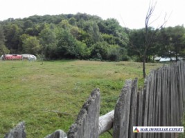 teren-intravilan-de-2000-mp-de-vanzare-in-apa-sarata-campulung-muscel-arges-1