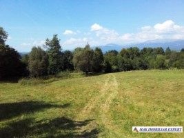 teren-de-vanzare-2500-mp-extravilan-in-valea-barbusii-chilii-campulung-muscel-arges-ideal-pentru-agricultura