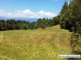 teren-de-vanzare-2500-mp-extravilan-in-valea-barbusii-chilii-campulung-muscel-arges-ideal-pentru-agricultura-2