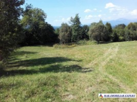 teren-35-ha-extravilan-livada-matau-1