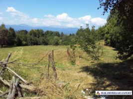 teren-35-ha-extravilan-livada-matau-3