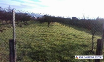 teren-2641mp-intravilan-domnesti