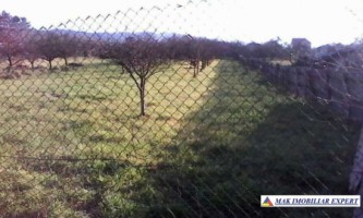 teren-2641mp-intravilan-domnesti-2