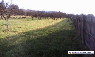 teren-2641mp-intravilan-domnesti-1