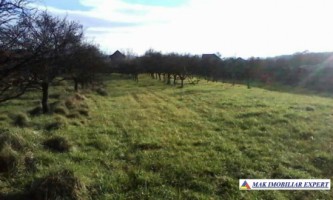 teren-2641mp-intravilan-domnesti-3