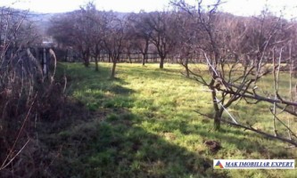 teren-2641mp-intravilan-domnesti-4