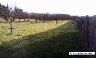 teren-2641mp-intravilan-domnesti-5