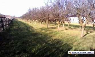 teren-2641mp-intravilan-domnesti-6