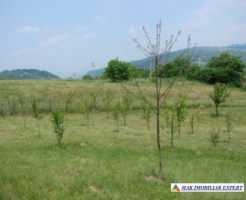 teren-intravilan-2130-mp-de-vanzare-in-apa-sarata-campulung-muscel-arges-ideal-pentru-dezvoltare-rezidentiala