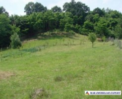 teren-intravilan-2130-mp-de-vanzare-in-apa-sarata-campulung-muscel-arges-ideal-pentru-dezvoltare-rezidentiala-3