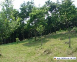 teren-intravilan-2130-mp-de-vanzare-in-apa-sarata-campulung-muscel-arges-ideal-pentru-dezvoltare-rezidentiala-2