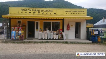 spatiu-comercial-de-40-mp-de-vanzare-in-stoenesti-arges-ideal-pentru-magazin-de-cereale-si-furaje-5