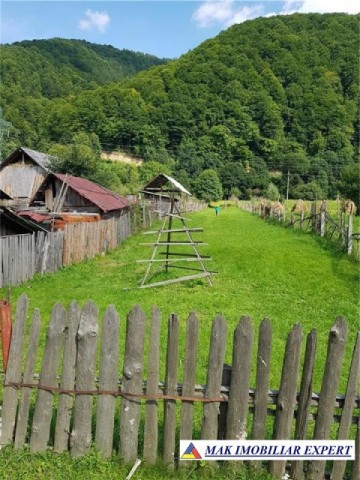 teren-intravilan-1800-mp-de-vanzare-pe-lunca-dragoslavele-arges-oportunitate-ideala-pentru-dezvoltari-rezidentiale