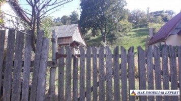 vand-teren-1600-mp-intravilan-in-dragoslavele-argrs-2