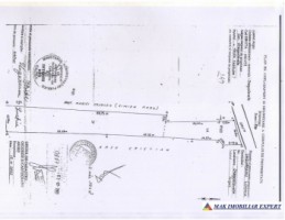 vand-teren-1600-mp-intravilan-in-dragoslavele-argrs-3