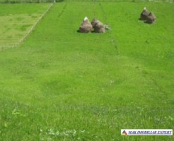 teren-2800-mp-intravilan-dambovicioara-1