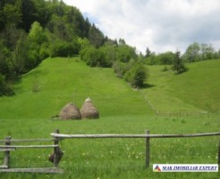 teren-2800-mp-intravilan-dambovicioara-2