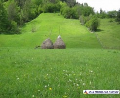 teren-2800-mp-intravilan-dambovicioara-3
