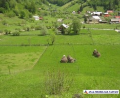 teren-2800-mp-intravilan-dambovicioara-4
