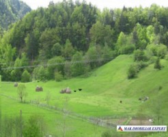 teren-2800-mp-intravilan-dambovicioara-5