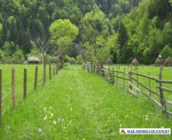 teren-2800-mp-intravilan-dambovicioara-6